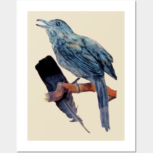 Catbird with Real Feather Posters and Art
